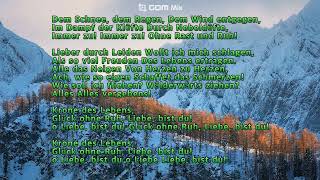 Rastlose Liebe Schubert 곡 ahnpav Pav Ahn 안파브 독일가곡 deutsch song lyrics 가사 [upl. by Lairea]