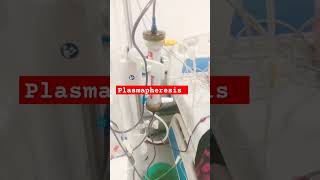 Plasmapheresis  T amp E Plasma transfusion During Dialysis  Kidney Disease  shortsfeedviralshort [upl. by Keldon86]