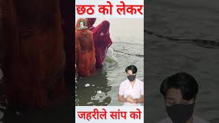 छठ पूजा के दौरान जहरीले सांप को सामने देखकर shorts chhathpuja [upl. by Haisa58]