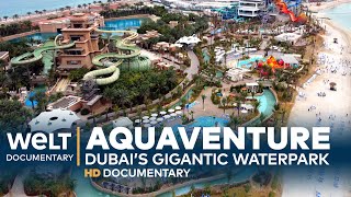 AQUAVENTURE  Dubai’s Gigantic Waterpark  Full Documentary [upl. by Rosol]