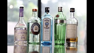 Gin Collection  Top 5 Diverse Picks [upl. by Thalassa958]