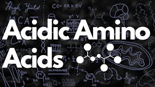 Acidic Amino Acids Aspartate amp Glutamate  MCAT [upl. by Humph]