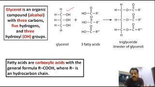 Chapter 1   Biological Molecules  Part 13  Lipids  Acylglycerol  Sindh Text Board [upl. by Aisaim]