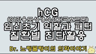 hcg인간융모성생식선자극호르몬 human chorionic gonadotropin 임신초기역할과 질환별 진단적용 [upl. by Hammerskjold]