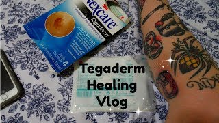 Tegaderm Diary Vlog Tattoo Healing [upl. by Ieso]