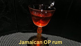 KINGSTON NEGRONI cocktail [upl. by Gwynne]