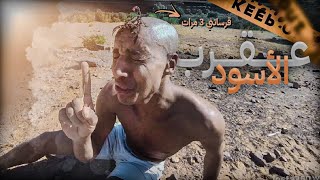 🚨جربت لقرسة ديال عقرب سوداء🦂قرستني 3 مرات فيدي🥵وأكلتها😋 في وسط صحراء🏜️ [upl. by Airakaz292]