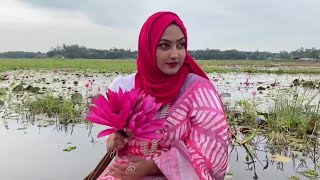 রাণীগঞ্জ ইউনিয়নে লাল শাপলার বিল চলুন ঘুরে আসি চিলমারী কুড়িগ্রাম [upl. by Brownley]