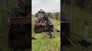 Fertilizing vineyard with compost at Weingut Sattlerhof Austria thewinearound wine compost [upl. by Anzovin]