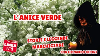 Lanice verde  STORIE E LEGGENDE MARCHIGIANE [upl. by Rebmeced]