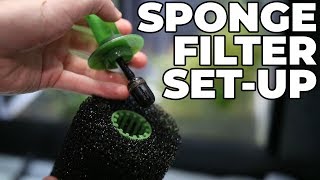 How To Set Up A Sponge Filter [upl. by Newsom]