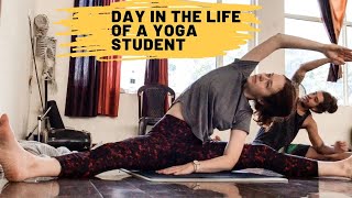 DAY IN THE LIFE  Daily schedule in yoga teacher training in Rishikesh India  India Vlog 2019 [upl. by Titus]