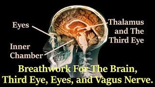 Breathwork For The Face Brain Neck Eyes 3rd Eye amp Vagus Nerve  Breathing with The Inner Chamber [upl. by Old]