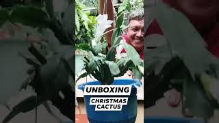 Unboxing Extra Ordinary Plants hermiesonajo plants shorts fyp [upl. by Assirrac]