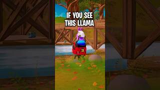 If You See This Llama BOX UP IMMEDIATELY [upl. by Quincey]