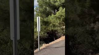 Zeybekler Nothingness cycling bikelifemersin cyclinglife gianttcr bikelover bike bikerbikes [upl. by Janene648]