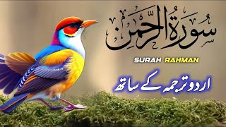 Surah Rehman Tarjuma ke Sath  Qari Al Shaikh Abdul Basit Abdul Samad  islamic Edits 006 [upl. by Felisha]