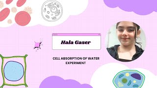 Hala Gaser Cell absorption of Water experiment [upl. by Notsej]