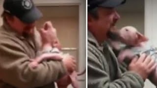 When a kind man returned to adopt the dog he had rescued the dog was very happy [upl. by Almeida547]