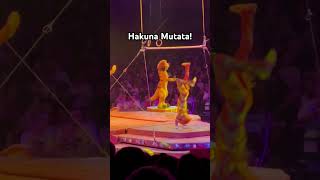 The Lion King Show at Disney’s Animal Kingdom WDW disneyparks [upl. by Dekeles]