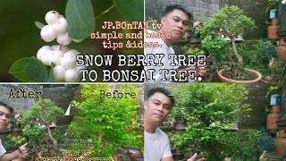 how to make a bonsai SYMPORICARPUSWaxberry or ghost berry treeworkshop and simple tips [upl. by Allemac]