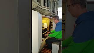 Orgel spielen  EG 331 Großer Gott wir loben dich [upl. by Richel]