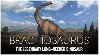 Brachiosaurus One Of The LARGEST Animals to Ever Exist  Dinosaur Documentary [upl. by Emmer]