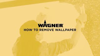 How to Remove Wallpaper with a Wallpaper Steamer [upl. by Opportuna906]