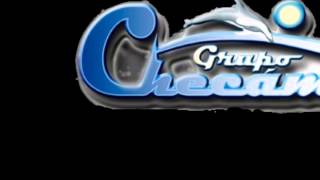 GRUPO CHECAME  Coquetona [upl. by Garson331]