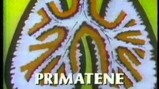 Primatene Mist commercial 1995 [upl. by Reltuc]