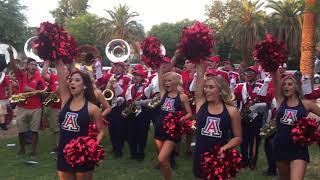 UA Alumni Band and the POA play Bear Down [upl. by Carlo55]