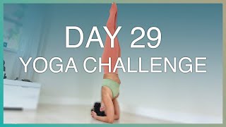 How to Do Headstand Sirsasana — Day 29 — Ashtanga Yoga Challenge [upl. by Axe]