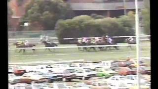 1986 Cox Plate Bill Collins version [upl. by Eniloj]