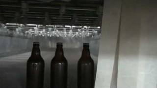 bodebrowncombr  tunel de pasteurizcao para cervejaria pasteurizar cervejas [upl. by Janeczka]