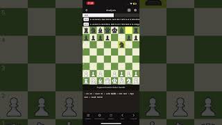 Solar Gambit Explained chess trap checkmates sacrifice [upl. by Cleres]