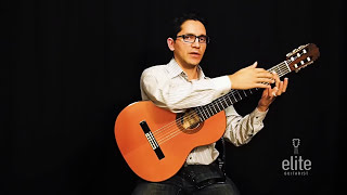 Learn to play Cavatina  Classical Guitar Video Tutorial Part 14  EliteGuitaristcom [upl. by Alyacim]