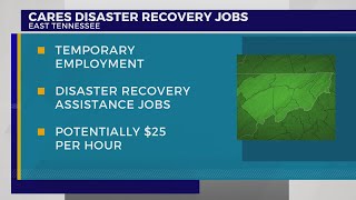 Northeast Tennesseans can make 25 per hour working storm recovery jobs [upl. by Sairacaz92]