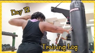 Punching Bag Day 12 Training Log [upl. by Ennayelsel122]