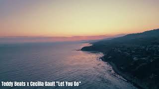 Let You Go  Teddy Beats amp Cecilia Gault  Tropical Dance Pop Anthem 2024 [upl. by Sadoff]