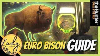 Hunting Euro Bison in Hirschfelden  European Bison Guide  Hunter Call of the Wild  Hot Spots [upl. by Connolly]