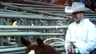 Trent Creager on Sweetness Houston Rodeo Finals 2010 [upl. by Sharity]