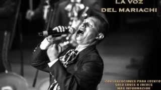 El Derrotado Steeven Sandoval Acustico Mariachi 2016 [upl. by Earej]