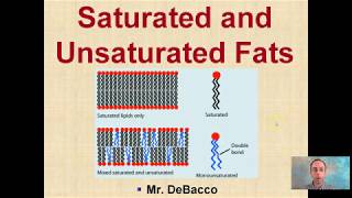 Saturated and Unsaturated Fats [upl. by Noemi592]