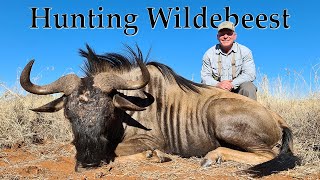 Hunt Blue Wildebeest in South Africa [upl. by Elleiad34]