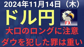 【相場解説】２０２４年１１月１４日（木）ドル円 [upl. by Llebpmac]