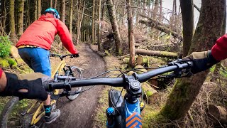 THIS was the most fun we had in Scotland  Mountain Biking Innerleithen [upl. by Gaige]