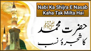 Nabi E Pak Ka Shijra E Nasab Kaha Tak Milta Hai By Moulana Tarik Jameel bayan [upl. by Anialam]