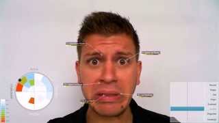 VicarVision  FaceReader Classifications Demo [upl. by Hudnut]