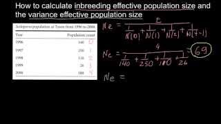 How to calculate inbreeding effective population size and the variance effective population size [upl. by Attenoj980]