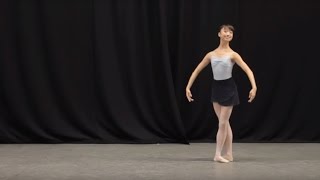 Insight Ballet Glossary  Petit allegro [upl. by Moser]